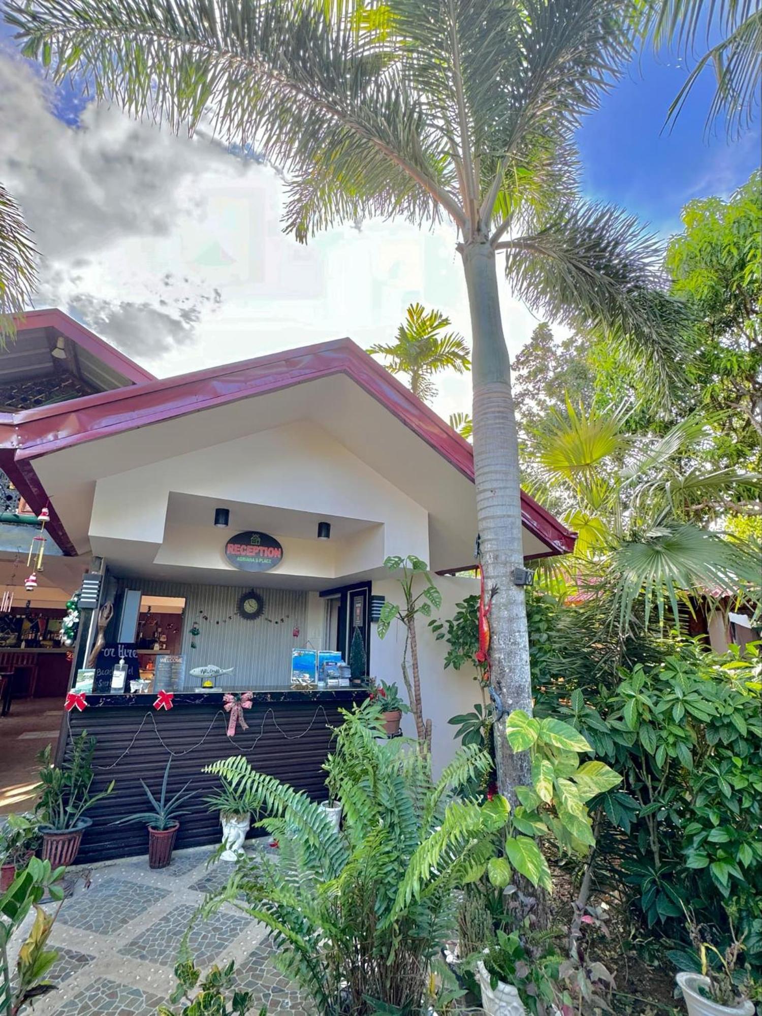 Adrianas Place Panglao Εξωτερικό φωτογραφία